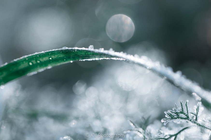 Podcast winter wonderland