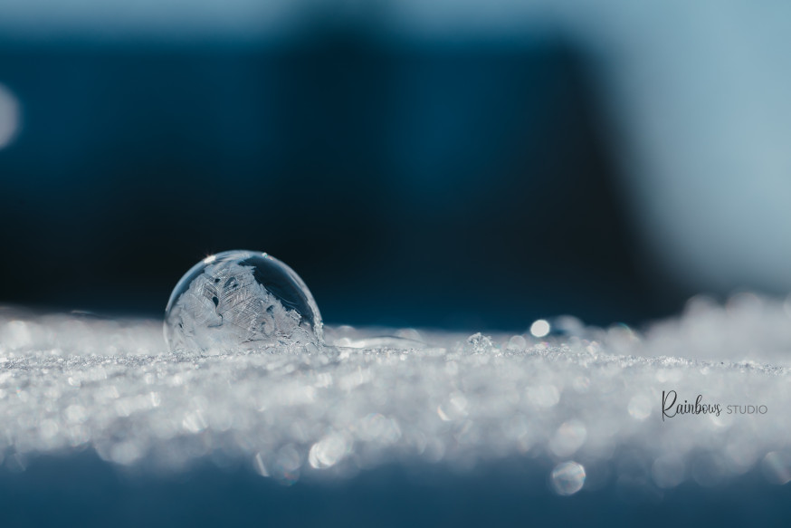 sneeuw, sneeuwfoto's, natuur, winter, winterfoto's, gallery, Lezersgallery, spotlight