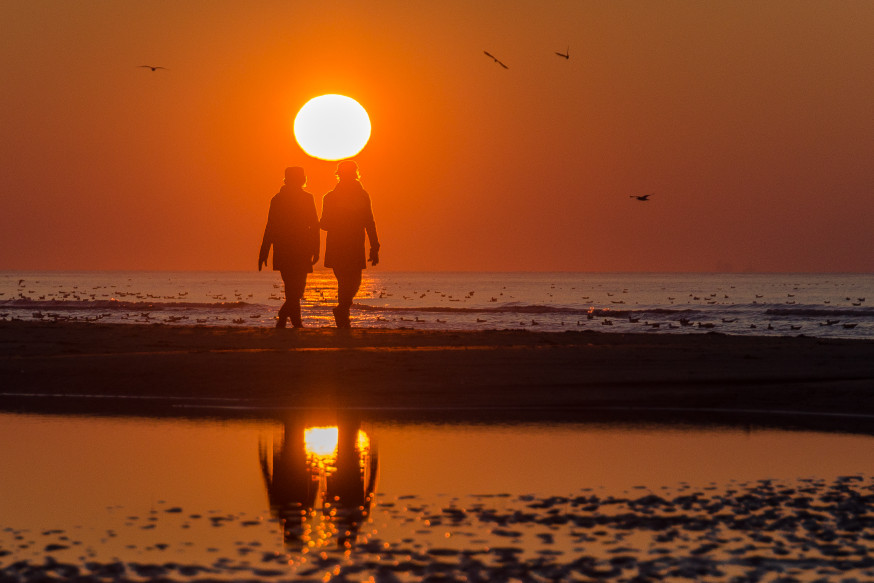 spotlight jolanda baars