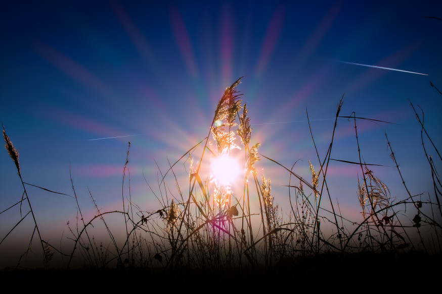 spotlight lezersfoto