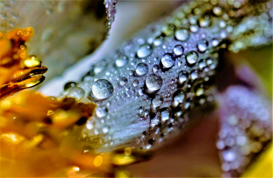 ruud welsink spotlight lezersfoto