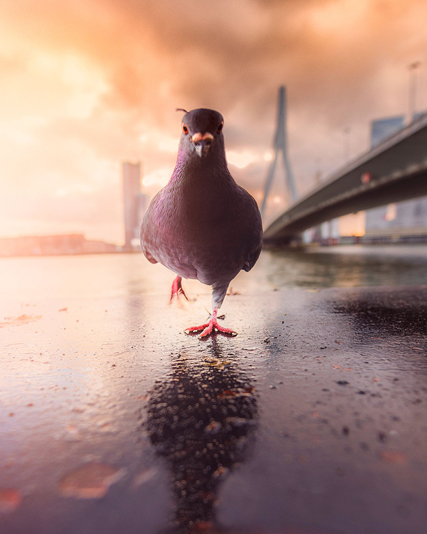 eduardo de vlugt, lezersfoto spotlight