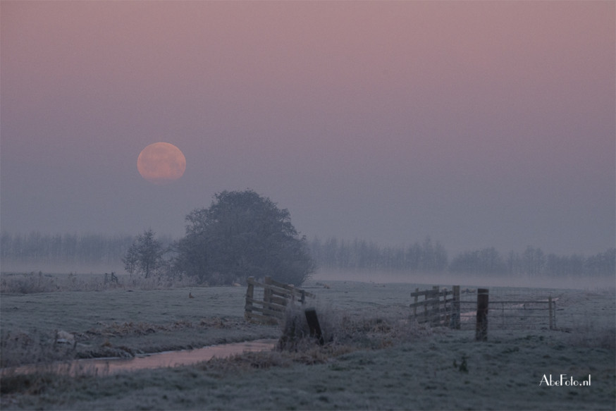 bloedmaan maansverduistering
