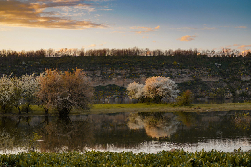 lente fotografie