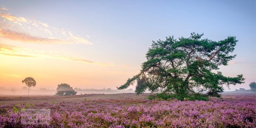 kamera express landschapsfotografie
