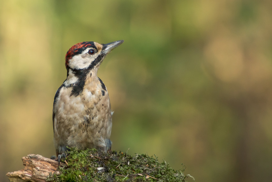 natuurfotografie locaties