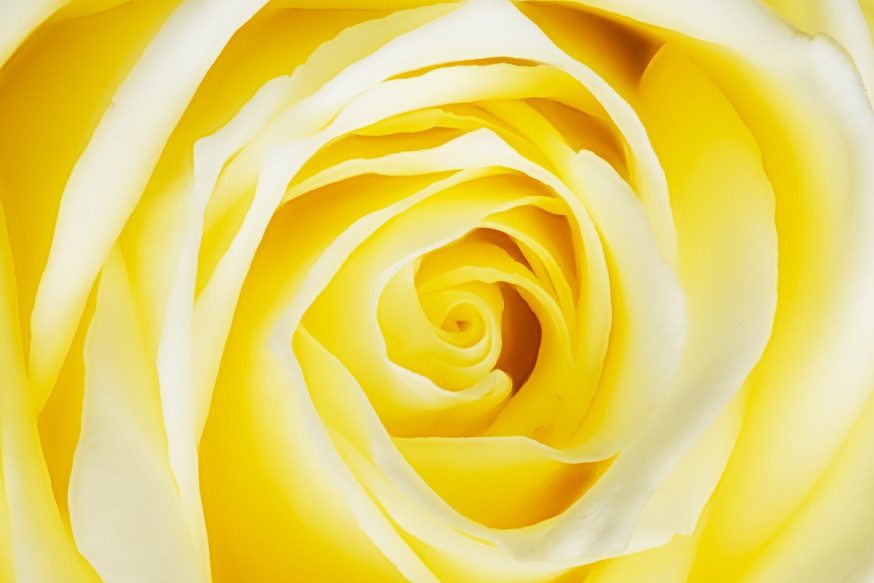 focus stacking focus shift voorbeeld nikon d850