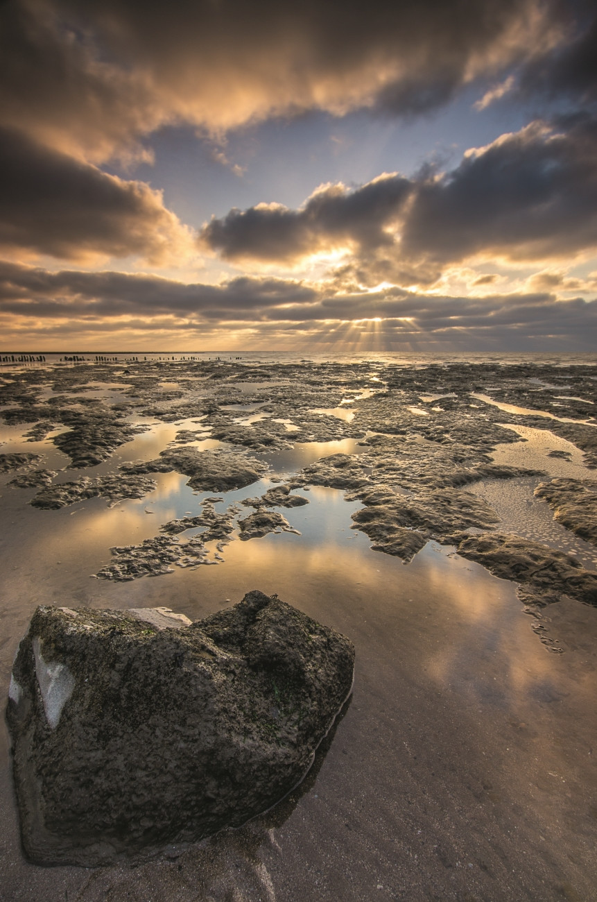 In de Spotlight: Marcel Ernst