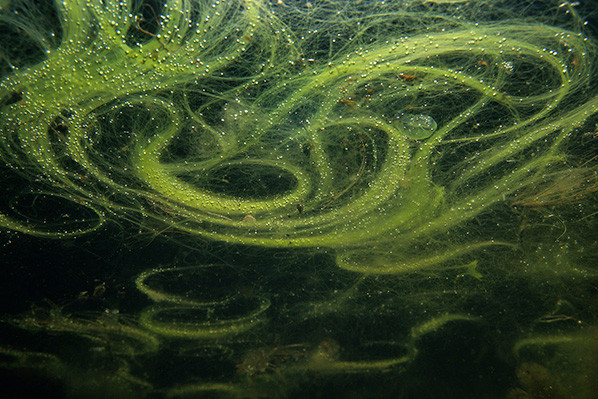 Waterlicht - Willem Kolvoort