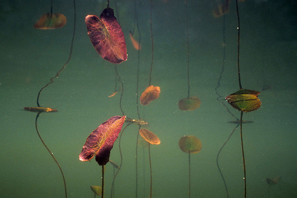 Waterlicht - Willem Kolvoort