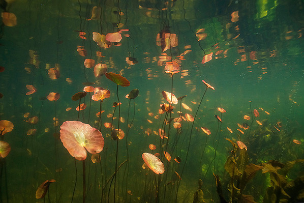 Waterlicht - Willem Kolvoort