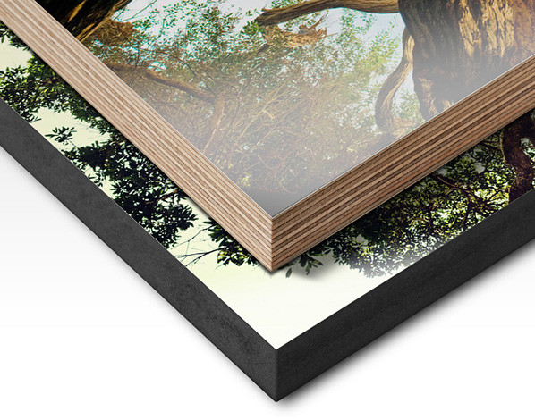 Fotoafdruk WhiteWall op hout