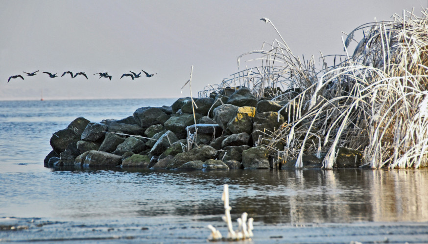  fotograferen in Lauwersmeer