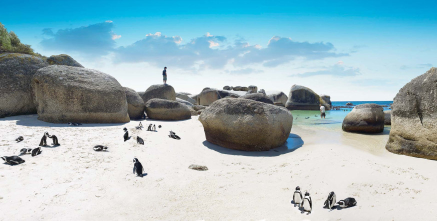 wow Zuid-Afrika