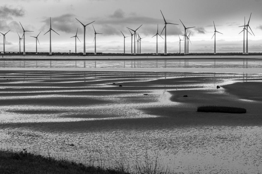 Weekoverzicht Digifotopro