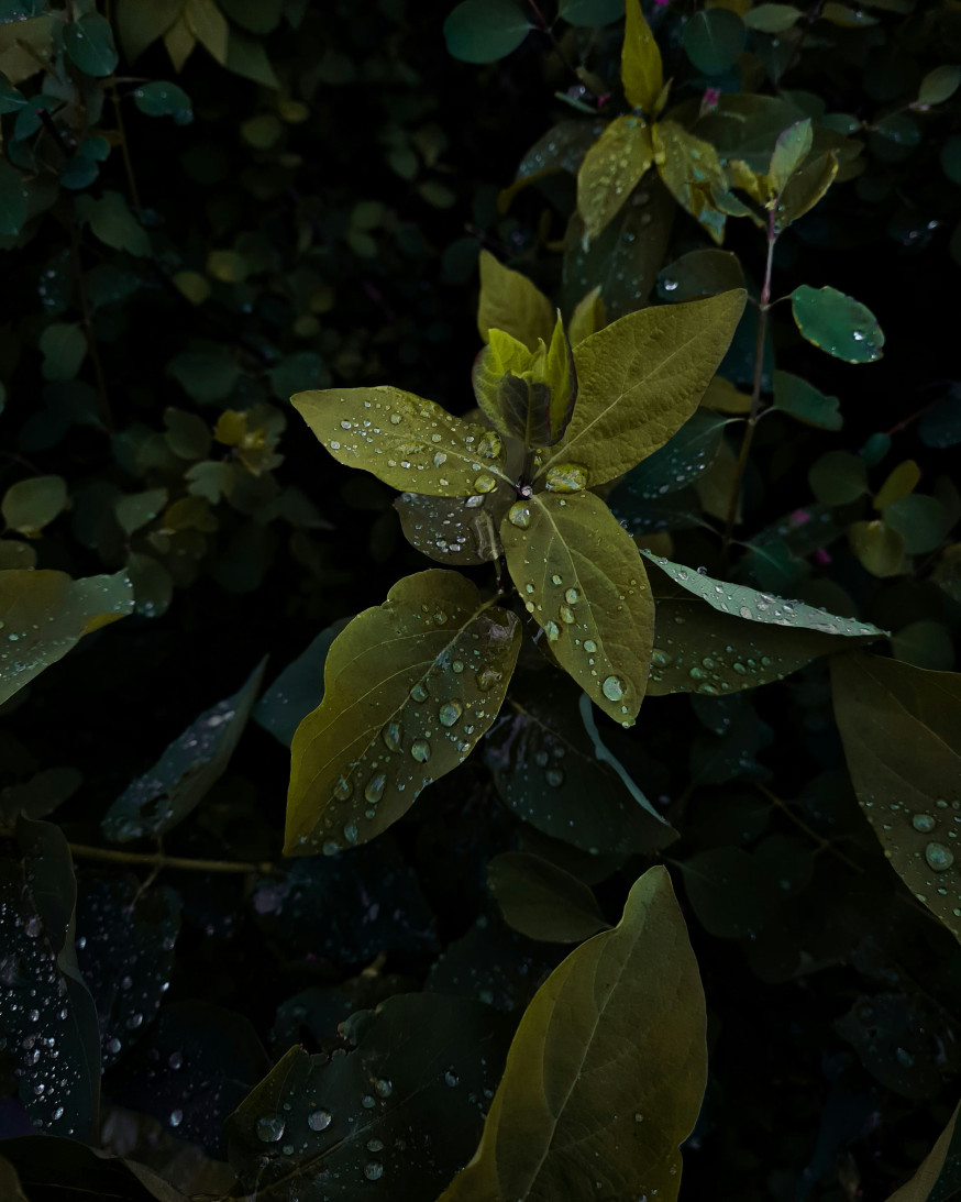  Clarity Texture Dehaze