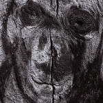 afbeelding van Theo Herzog