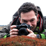 afbeelding van wvdweerd