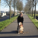 afbeelding van gamzenoa