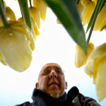 afbeelding van fotobongo