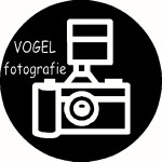afbeelding van VOGELfotografie