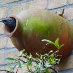afbeelding van Annakemp