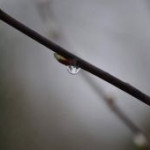 afbeelding van harrymoolenaar_134749