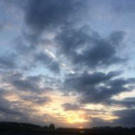 afbeelding van n.scheyven1_136676