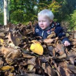 afbeelding van bulthuisheleen_151742