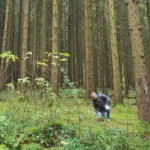 afbeelding van hansh
