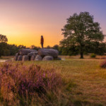 afbeelding van vanriesenerwin_176371