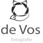afbeelding van daandevos