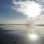 afbeelding van Aris Bremer