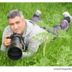 afbeelding van Cemal Kazankaya