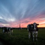afbeelding van jeffrey bakker