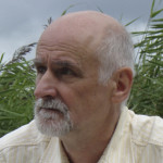 afbeelding van mart Bevelander