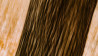 Intentional Camera Movement fotografie?