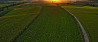 Alles over fotograferen en filmen met drones