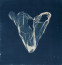 Ontwaken in blauw: cyanotypie in Fotomuseum