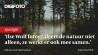 In de spotlight Ilse Wolf 