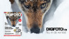 Nu verkrijgbaar: DIGIFOTO Pro 6.2019