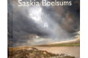 Liefde voor Landschap: nieuw boek Boelsums