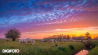 Spotlight van de week #15 | DIGIFOTO Pro Gallery
