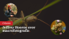 Creatieve macrofotografie en storytelling