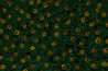 In de Spotlight: de tulpen van Piet de Rijcke