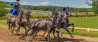 Creëer realistische schaduwen in Photoshop