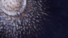 Mustsee: Miniglobelet IV van Beauty of Science – bijzondere microvideo