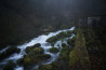 Fotografiereis Morvan: sfeer, mist en ritme 