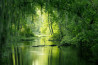 Landschapsfotografie Georgia: ritme van water