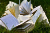 Deze fotografieboeken gaan mee in jouw reiskoffer!